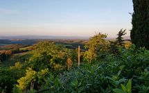 Photo submitted by guest of Giovanna Vacanze