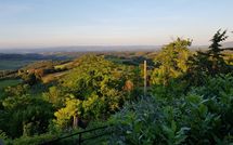 Photo submitted by guest of Giovanna Vacanze