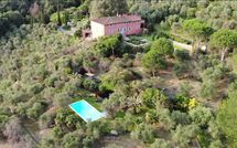 Photo submitted by guest of Villa Igea 13