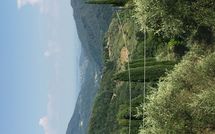 Photo submitted by guest of Casa Fiora