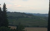 Photo submitted by guest of Montegufoni