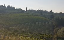 Photo submitted by guest of Casa Rossa