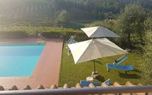 Photo submitted by guest of Casa Rossa