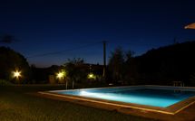 Photo submitted by guest of Rufina 200