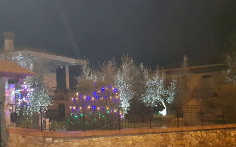 La Casina Del Canneto: Night, Lighting, Light, Sky, Tree, Home, Winter