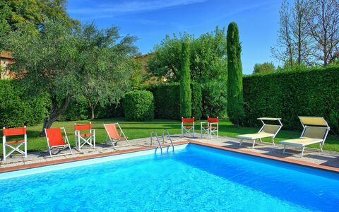 Villa Fiamma: Water, Plant, Sky, Swimming Pool, Property, Furniture, Green, Azure, Nature, Blue