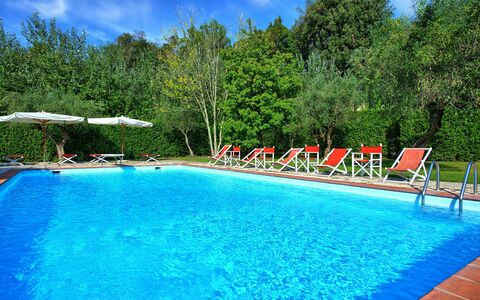 Villa Fiamma: Water, Plant, Swimming Pool, Sky, Azure, Cloud, Tree, Outdoor Furniture, Natural Landscape, Rectangle