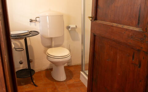 Casa Di Vignolo: Toilet Seat, Toilet, Plumbing Fixture, Wood, Bathroom, Floor, Flooring, Brown, Plumbing, Room