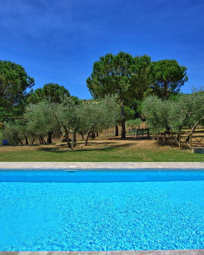 Casa Olivia: Swimming Pool, Property, Real Estate, Natural Landscape, Estate, Leisure, Water, House, Grass, Villa