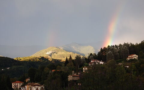 Il Nido In Garfagnana: Sky, Cloud, Meteorological Phenomenon, Hill, Mountain, Tree, Hill Station, Highland, Mountain Range