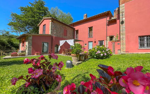 Mulino a Montegonzi Di Rimaggio: Flower, Sky, Plant, Window, Building, Green, Flowerpot, Tree, Grass, House