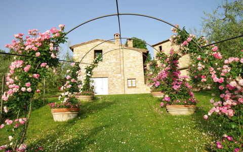 Villa Ardene: Arch, Architecture, Flower, Plant, Garden, Spring, Yard, House, Grass, Lawn