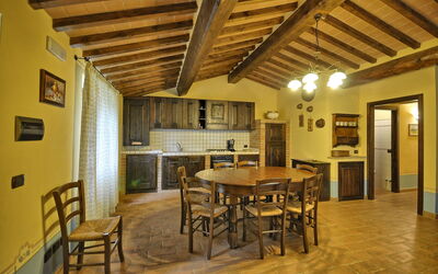 Accommodation:&nbsp;Tulipano