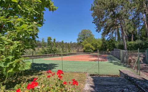 Il Poggio Di Patrignone: Nature, Natural Landscape, Garden, Property, Tree, Real Estate, Grass, Botany, Sky, Yard