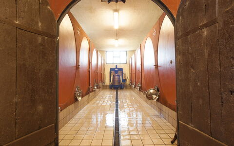 Fattoria Di Quercia Al Poggio: Building, Arch, Architecture, Room, Floor, Hall, Interior Design, Ceiling, Symmetry, Flooring