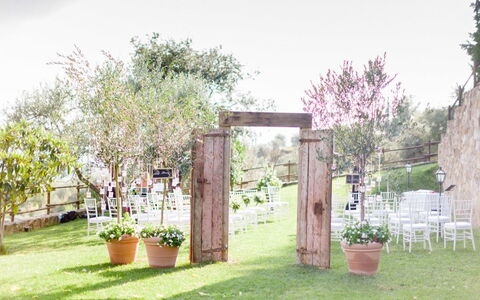 Fattoria Di Quercia Al Poggio: Property, Yard, Grass, Backyard, Tree, Garden, Land Lot, House, Building, Lawn