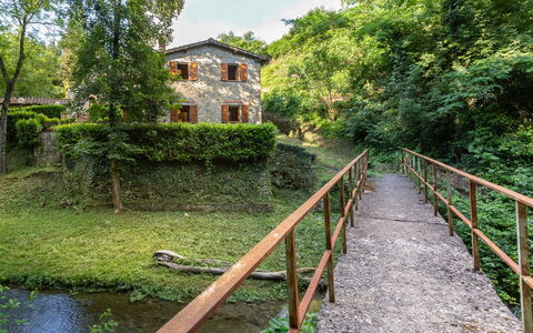 La Ripresa: Vegetation, Nature Reserve, Waterway, Tree, River, Grass, House, Rural Area, Watercourse, Bridge