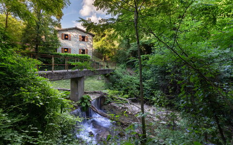 La Ripresa: Nature, Water, Vegetation, Green, Watercourse, Tree, Nature Reserve, Natural Environment, Biome, River