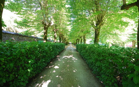 Villa Paola: Green, Nature, Tree, Natural Landscape, Vegetation, Leaf, Nature Reserve, Natural Environment, Grass, Plant