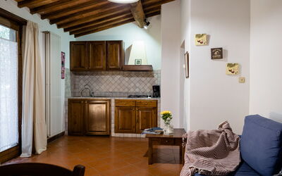 Olivi: Furniture, Property, Wood, Living Room, Cabinetry, Interior Design, Floor, Flooring, Architecture, Houseplant