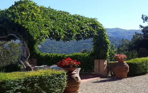 Villa Del Conte: Garden, Vegetation, Tree, Shrub, Botanical Garden, Natural Landscape, Hedge, Botany, Plant, Sky