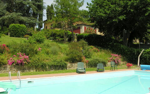 Villa i Cedri: Swimming Pool, Property, Leisure, Real Estate, Residential Area, House, Grass, Tree, Landscape, Vacation