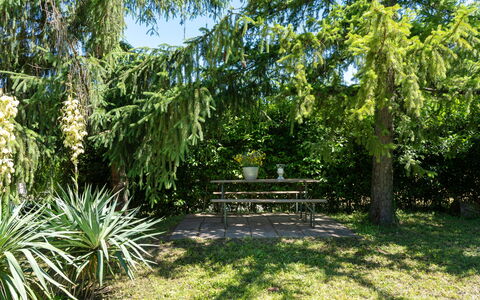 Villa Il Nido: Plant, Plant Community, Outdoor Bench, Natural Landscape, Tree, Land Lot, Shade, Terrestrial Plant, Arecales, Shrub