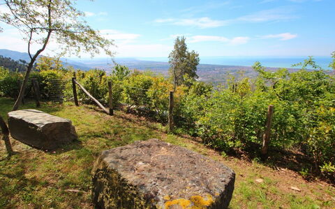 Villa Miramare: Nature, Wilderness, Natural Environment, Tree, Natural Landscape, Nature Reserve, Rock, Mountain, Sky, Forest