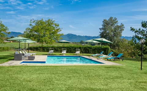 Villa La Collina: Plant, Sky, Cloud, Umbrella, Water, Swimming Pool, Tree, Chair, Shade, Outdoor Furniture