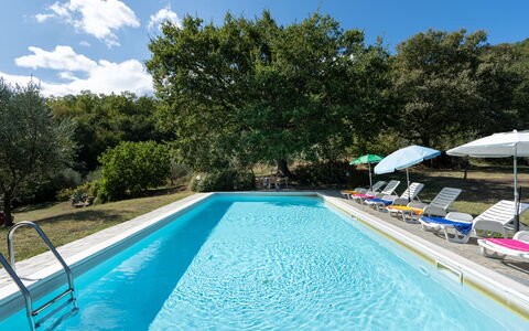 Casa Corella: Water, Plant, Sky, Property, Swimming Pool, Cloud, Azure, Tree, Shade, Rectangle