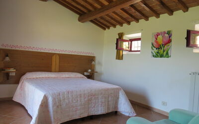 Accommodation:&nbsp;509