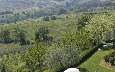 Agriturismo Paterno: Vegetation, Natural Landscape, Highland, Nature Reserve, Natural Environment, Wilderness, Hill Station, Tree, Hill, Mountain