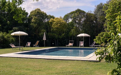 Accommodation:&nbsp;Gelso