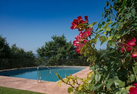 Villa Mandorlo: Water, Sky, Flower, Plant, Property, Nature, Swimming Pool, Vegetation, Tree, Petal