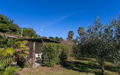 Accommodation:&nbsp;Straccoligno 290.2