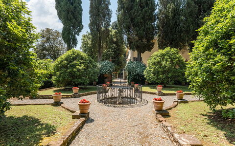 Villa de Ranieri: Plant, Road Surface, Tree, Natural Landscape, Grass, Woody Plant, Evergreen, Leisure, Groundcover, Road