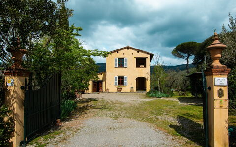 Collina dei Fiori: Sky, Cloud, Plant, Window, Building, Land Lot, Tree, Grass, Landscape, Rural Area