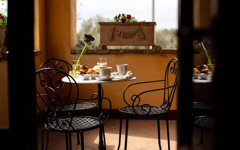 Collina dei Fiori: Plant, Table, Furniture, Flower, Chair, Building, Interior Design, Houseplant, Living Room, Flowerpot