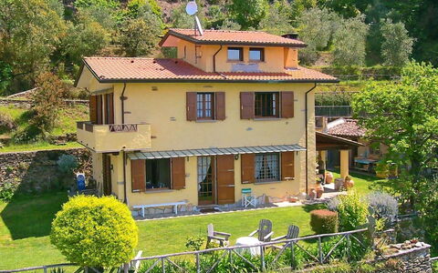 Villa La Collinetta: Plant, Window, Property, Building, Green, Tree, House, Yellow, Vegetation, Cottage