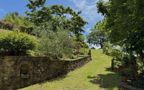 Anfora!!: Grass, Green, Tree, Leaf, Vegetation, Natural Landscape, Shrub, Landscape, Rural Area