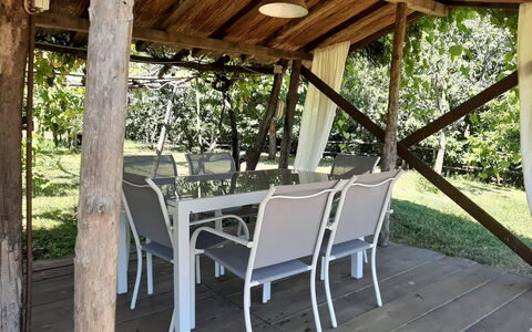 Bettina!: Plant, Table, Furniture, Wood, Shade, Chair, Outdoor Furniture, Cottage, Tree, Porch