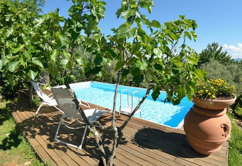 Bettina!: Property, Tree, Plant, Real Estate, Leisure, Vacation, House, Swimming Pool, Flower, Estate