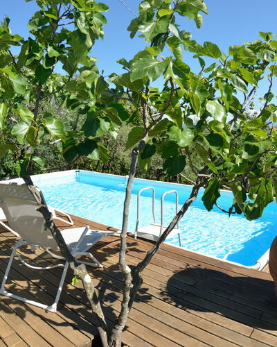 Bettina!: Property, Tree, Plant, Real Estate, Leisure, Vacation, House, Swimming Pool, Flower, Estate