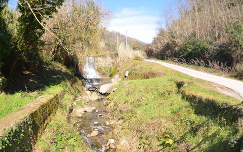 Casa Milena: Waterway, Natural Landscape, Road, Water Resources, Geological Phenomenon, Canal, Tree, Watercourse, Thoroughfare