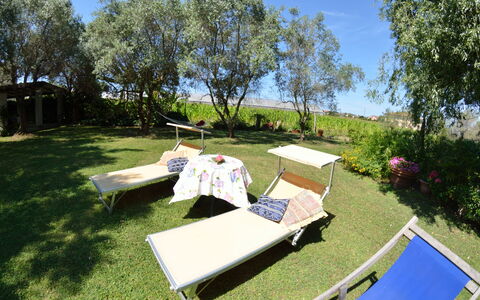 Casa Romana: Property, Tree, Grass, Plant Community, Table, Leisure, Real Estate, House, Recreation, Vacation