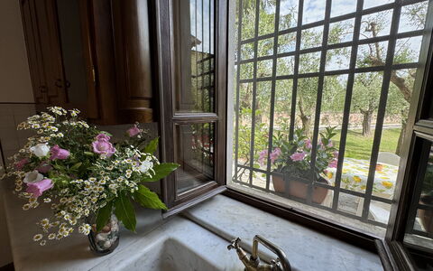 Casa Romana: Glass, Flowerpot, Iron, Houseplant, Daylighting, Balcony