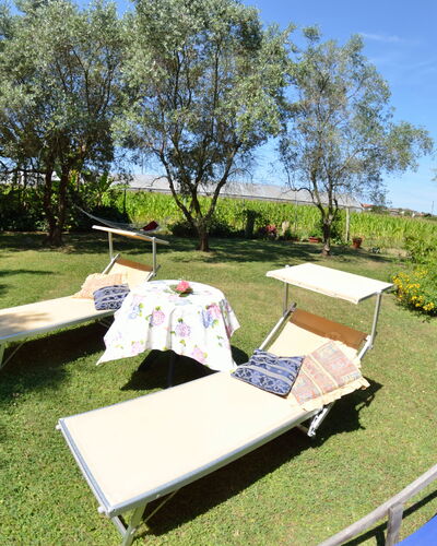 Casa Romana: Property, Tree, Grass, Plant Community, Table, Leisure, Real Estate, House, Recreation, Vacation