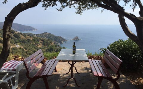 Raggio Di Sole Sull'argentario: Tree, Sky, Sea, Vacation, Tourism, Coast, Furniture, Table, Bay, Resort