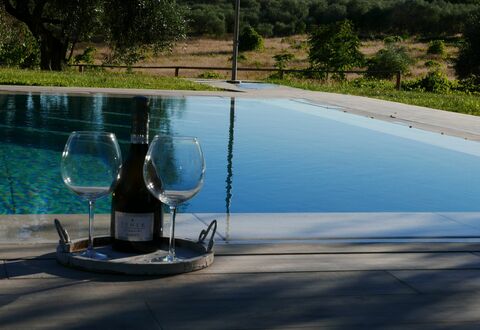 Agriturismo La Pieve: Water, Swimming Pool, Tree, Leisure, Vacation, Water Feature, Landscape, Plant, Glass, House