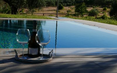Agriturismo La Pieve: Water, Swimming Pool, Tree, Leisure, Vacation, Water Feature, Landscape, Plant, Glass, House